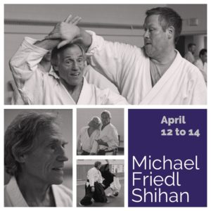 Michael Friedl Shihan teaching aikido